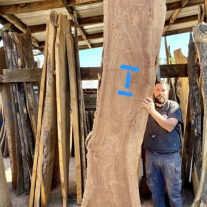 Eucalyptus Hardwood Slab