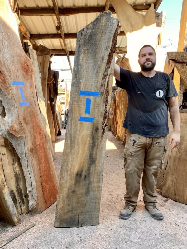 Eucalyptus Hardwood Slab