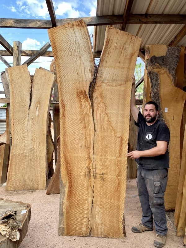 Eucalyptus Hardwood Slab