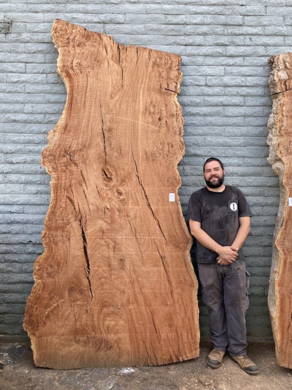 ucalyptus Hardwood Slab