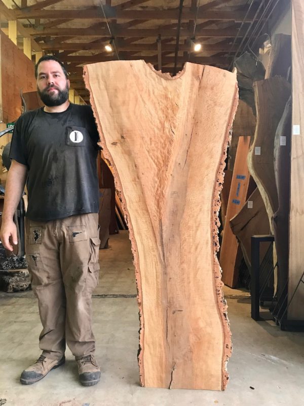 Cork Oak Bark Hardwood Slab