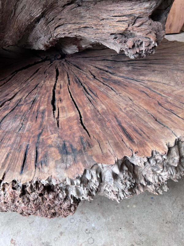 Walnut Burl Cookie 1661 - Image 3