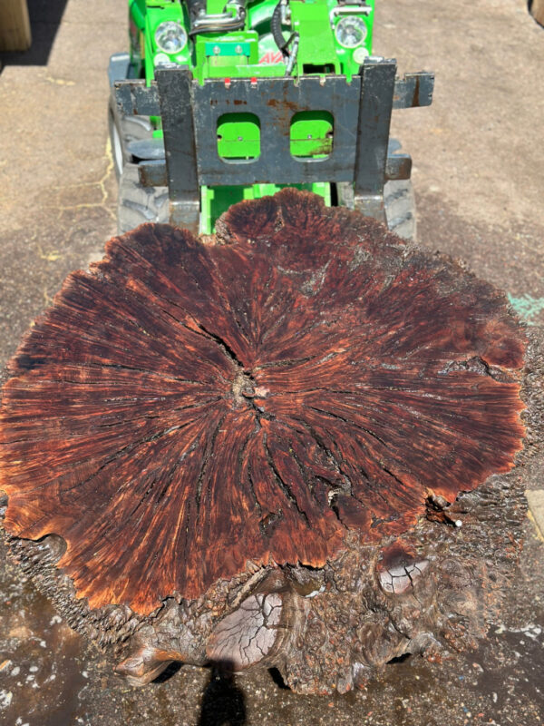 Walnut Burl Cookie 1661
