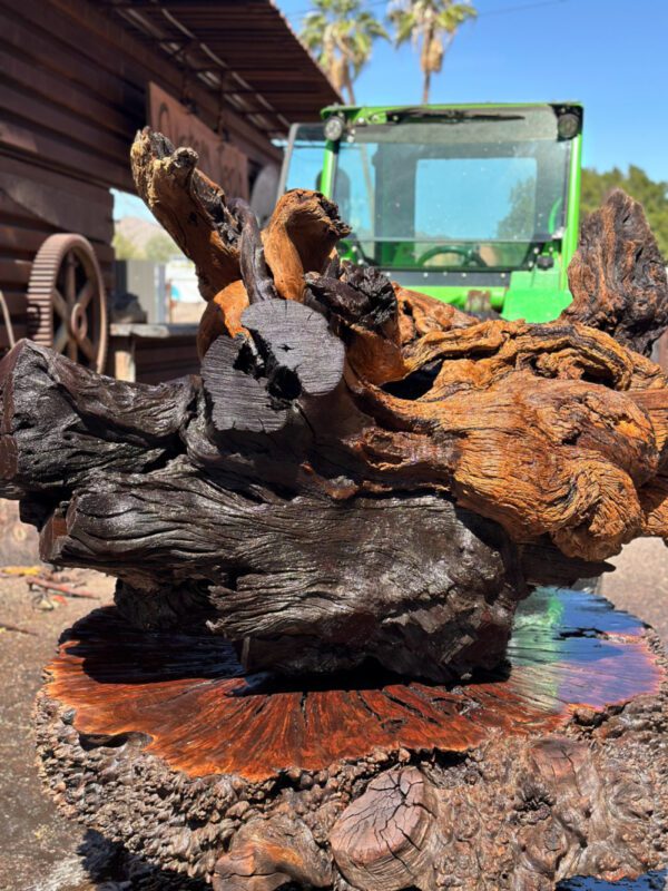 The Ironwood Icon Rootball - Image 2