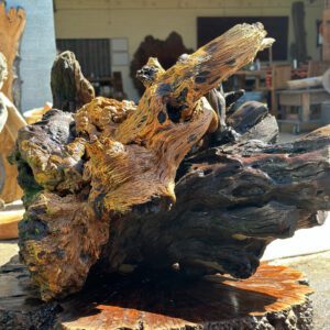 The Ironwood Icon Rootball