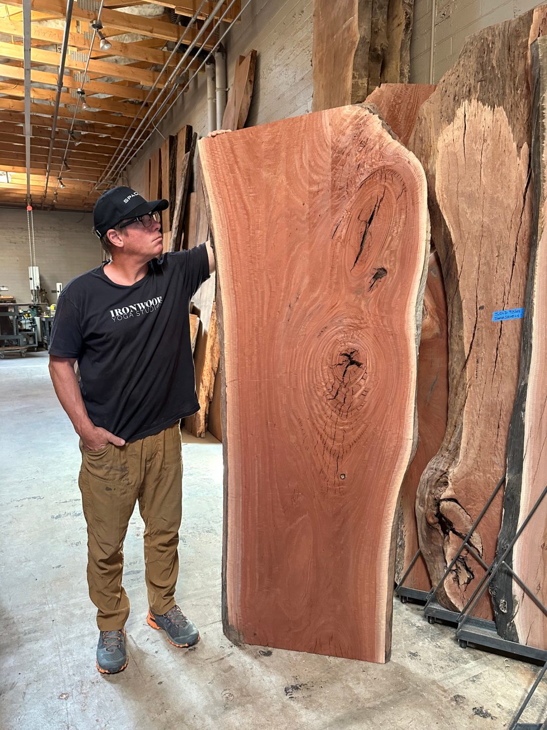 Eucalyptus Slab 0614