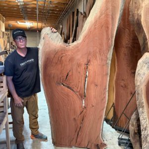 Eucalyptus Slab 0617