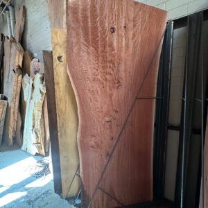 Eucalyptus Slab 0618
