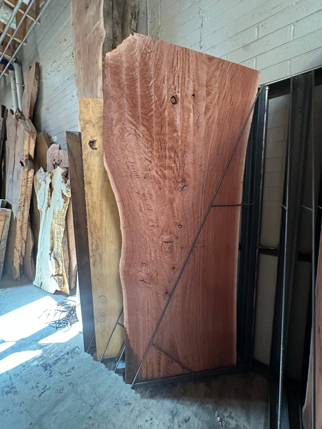 Eucalyptus Slab 0618